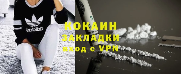 гашик Алзамай