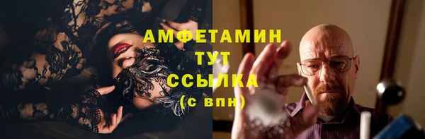 твердый Арсеньев