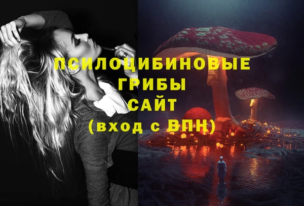 твердый Арсеньев